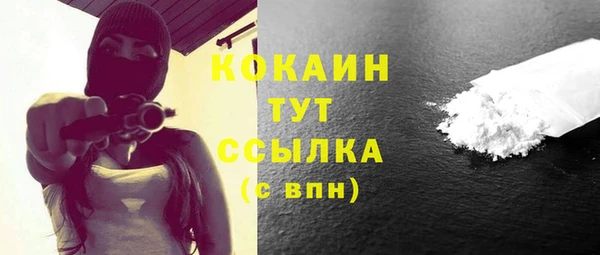 бошки Бородино