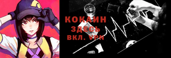 бошки Бронницы