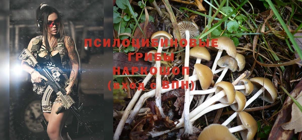 крисы Верхнеуральск