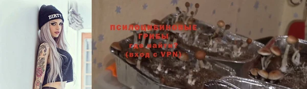 сатива Верхний Тагил