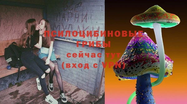 бошки Бородино