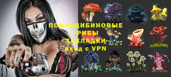мдпв Бугульма
